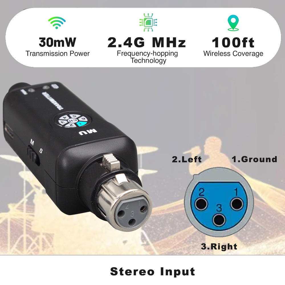 2.4G Wireless In Ear Monitor S - In Ear Monitors For Singers review and price