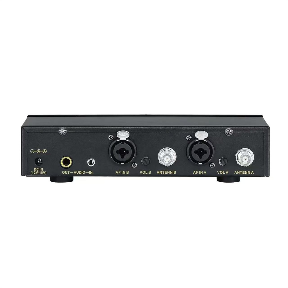 SKARIDIS Professional Wireless - In Ear Monitors For Singers review and price